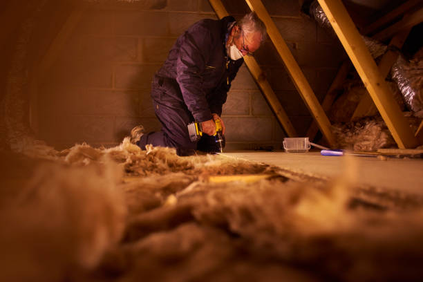 Best Insulation Maintenance and Repair in Oakley, UT